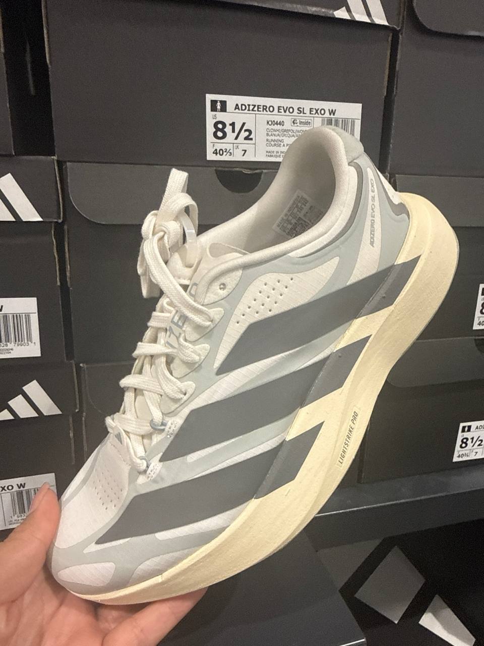 Tenis  número Americano