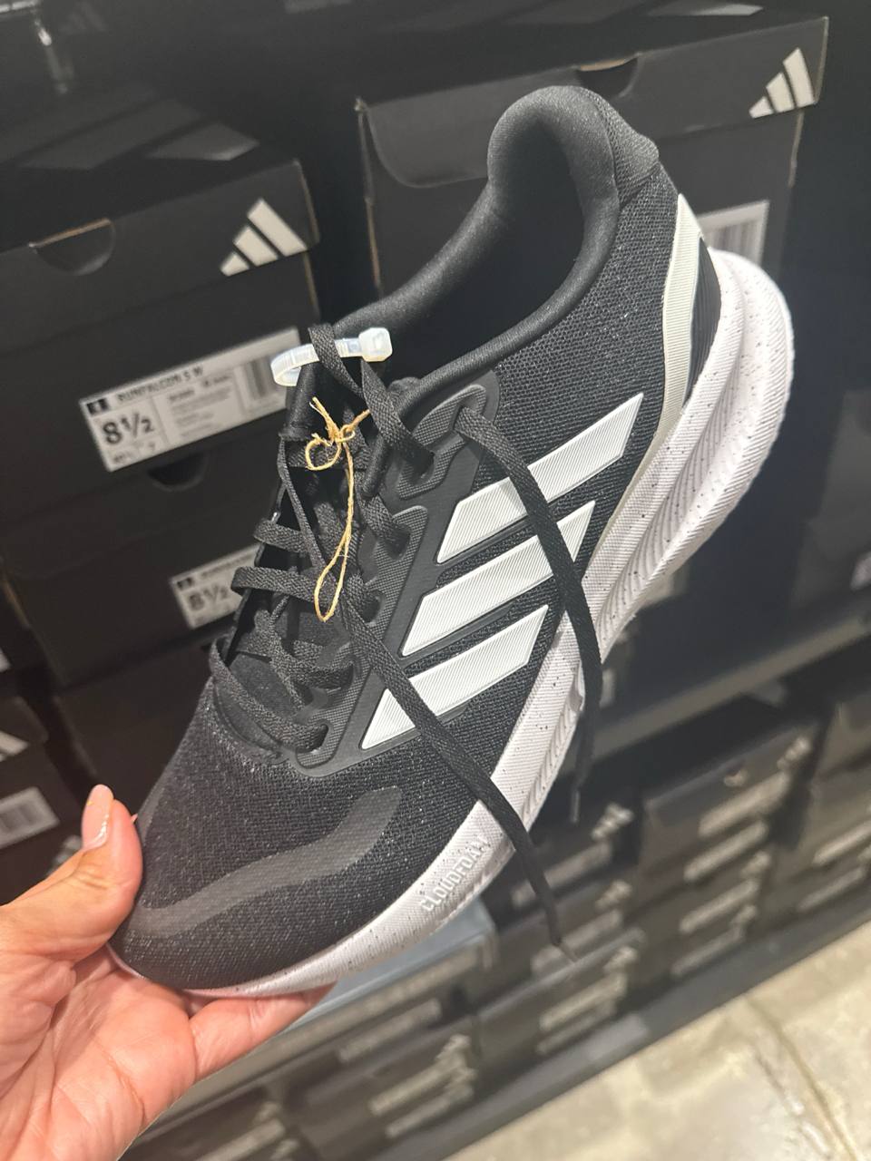 Tenis  número Americano