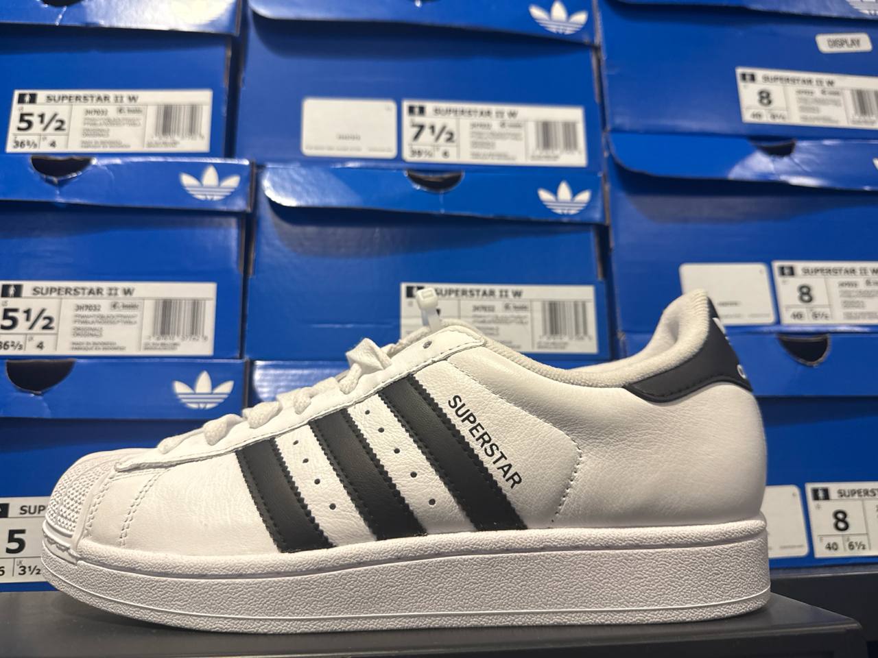 Tenis  número Americano