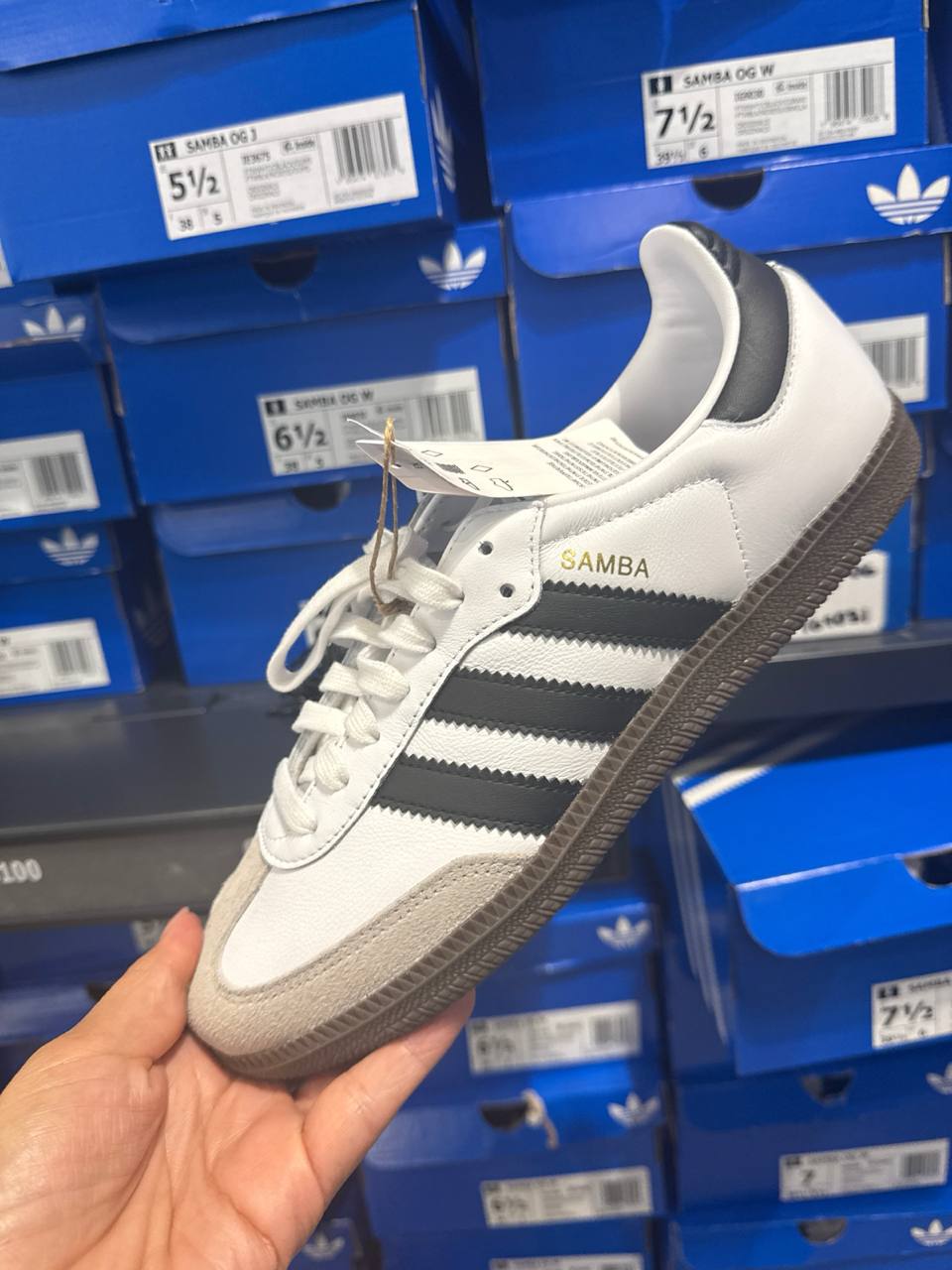 Tenis  número Americano