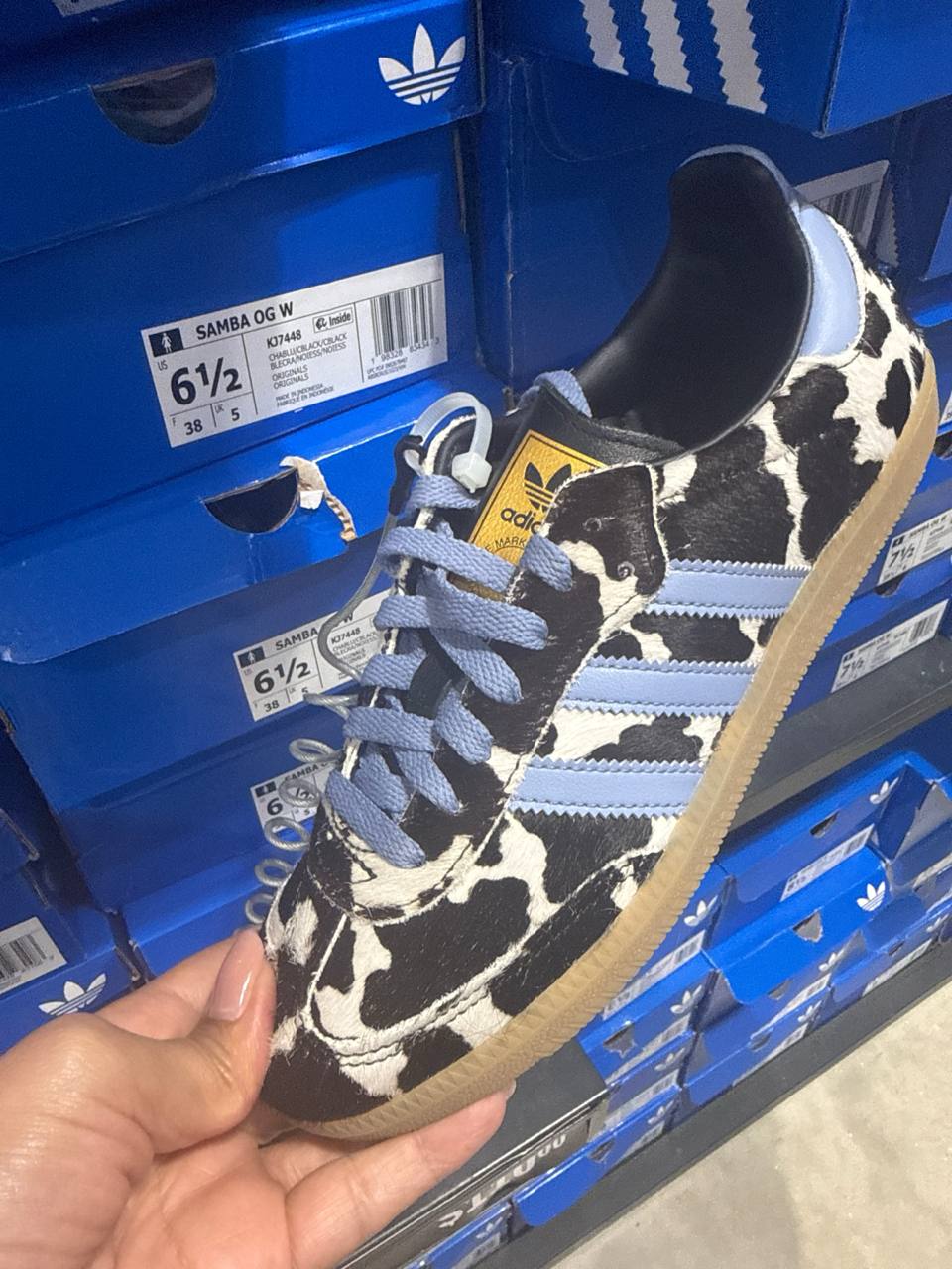 Tenis  número Americano