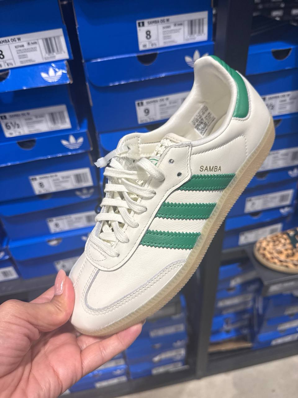 Tenis  número Americano