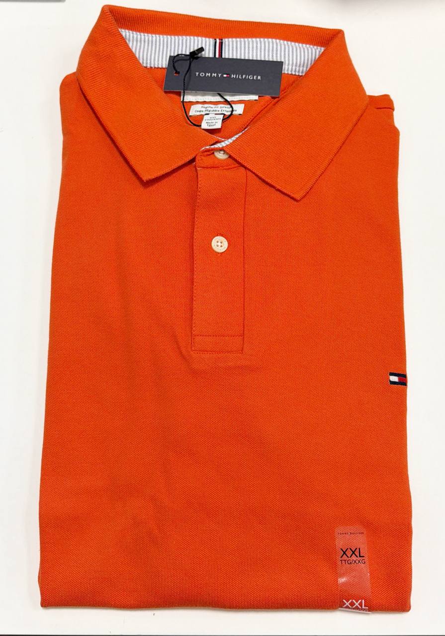 Regular Fit Polo