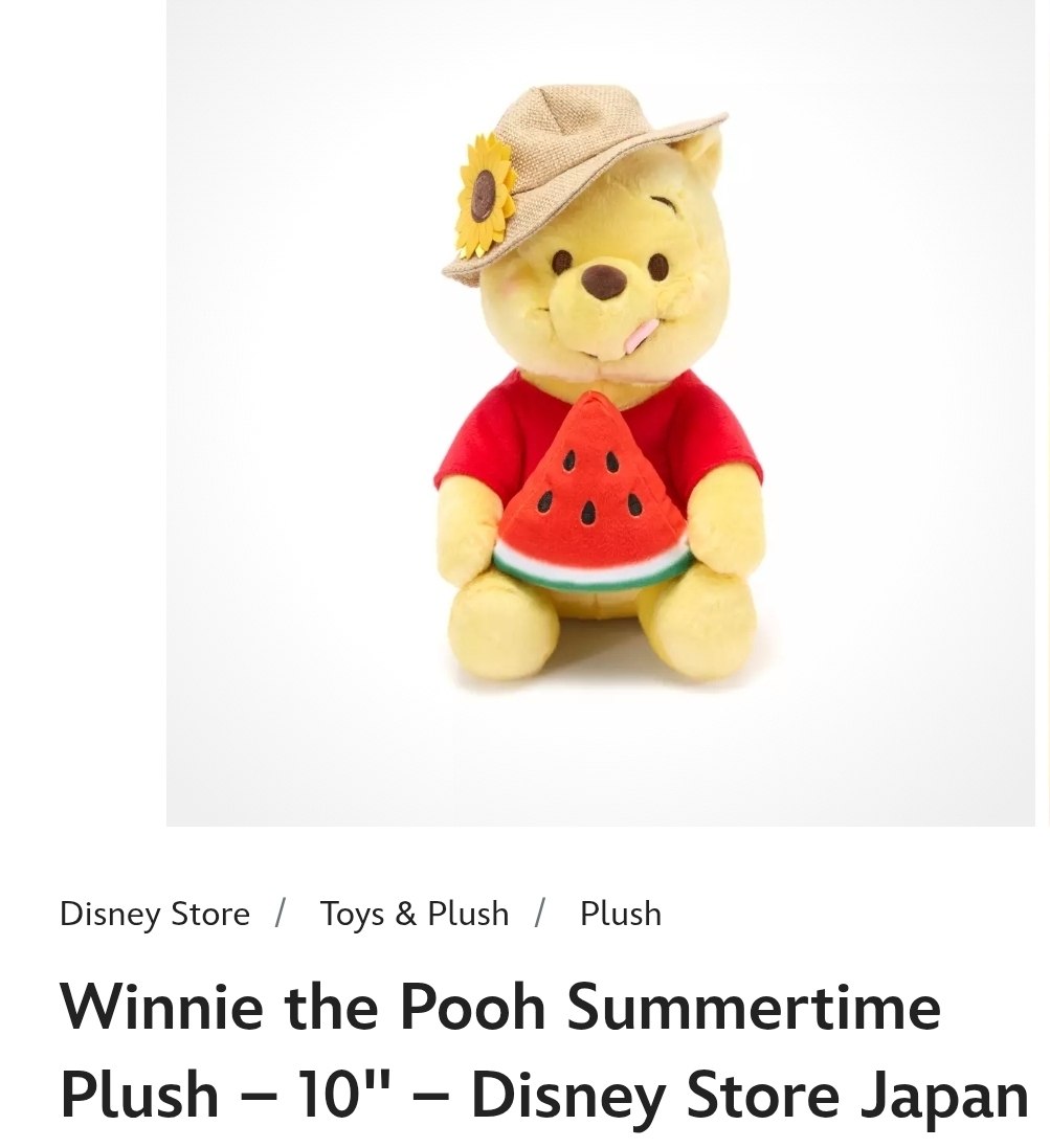Winnie the Pooh Plush