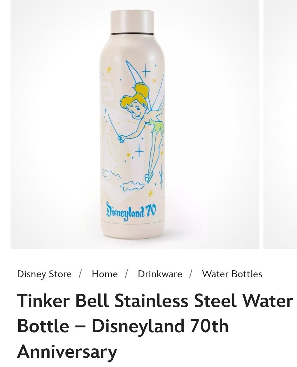 Tinker Bell Water Bottle