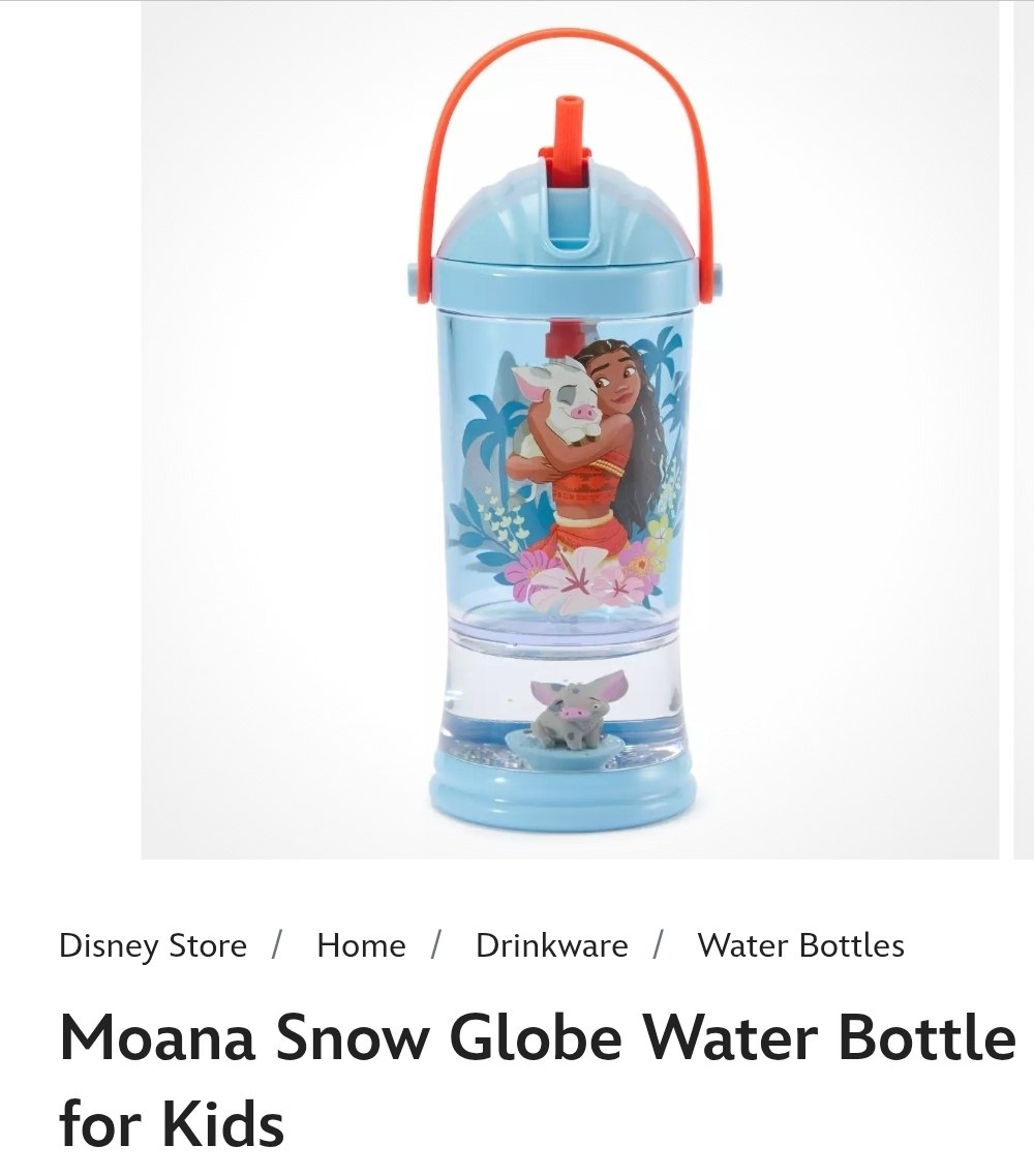 Moana Water Bottle