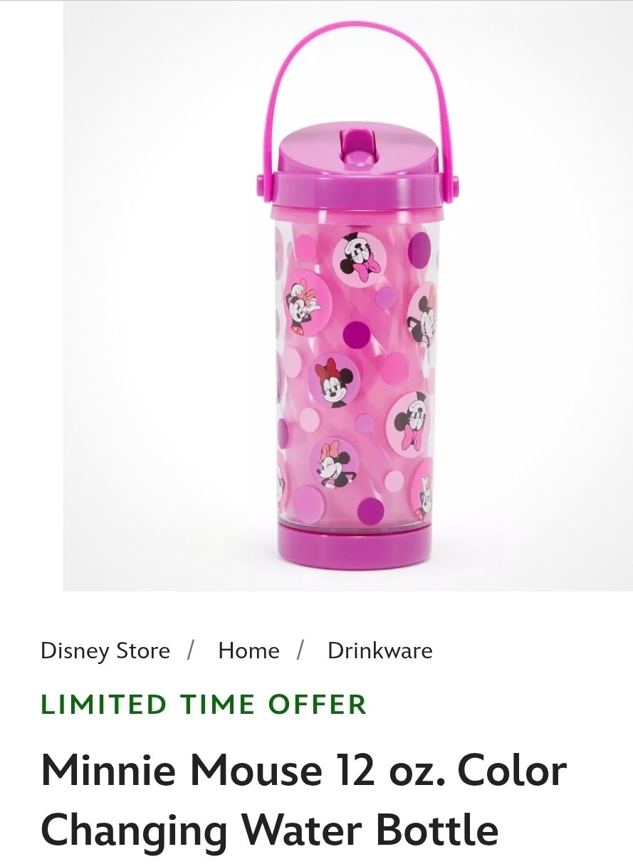 Minnie Water Bottle