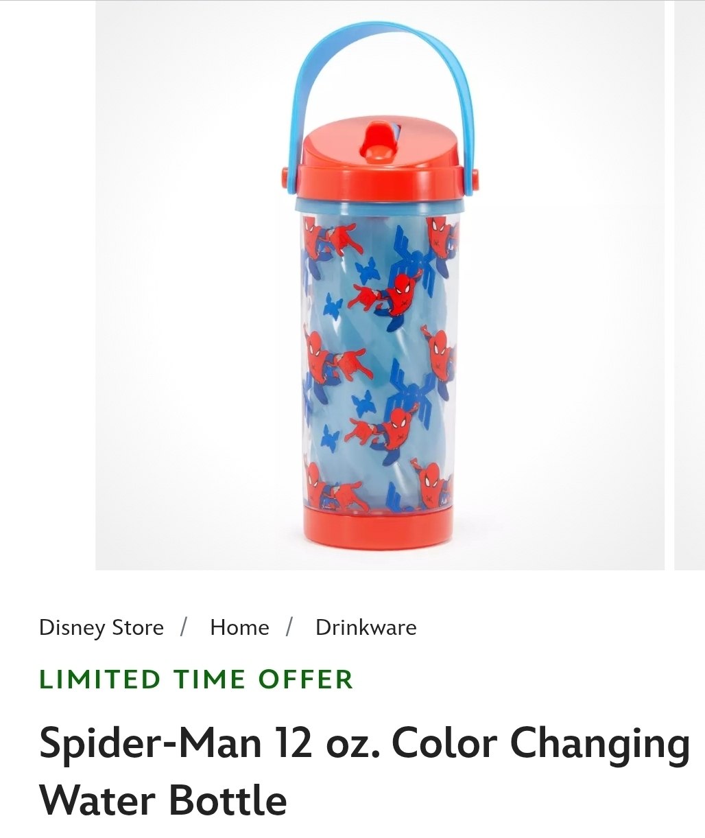 Spider Man Water Bottle