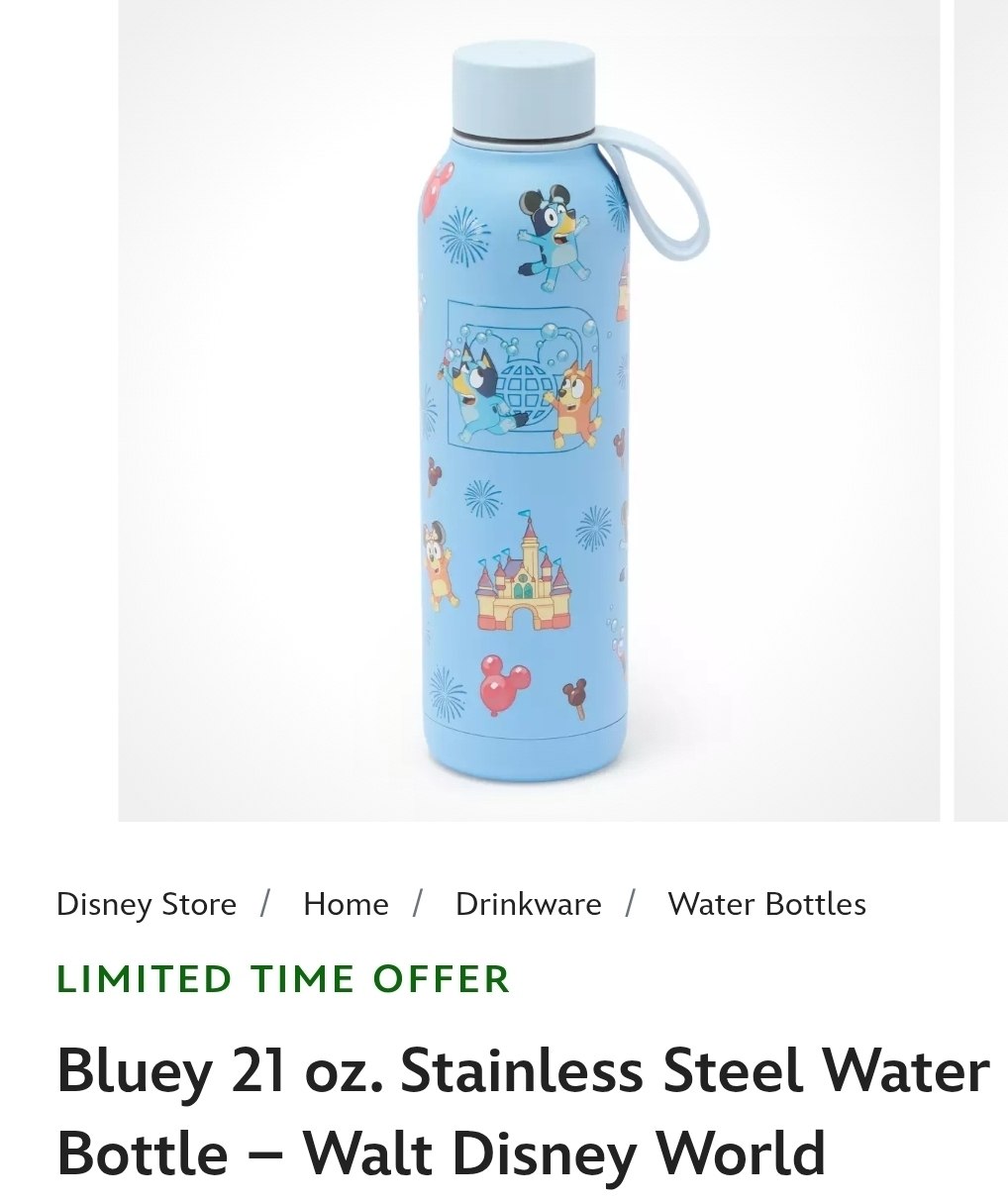 Bluey Water Bottle
