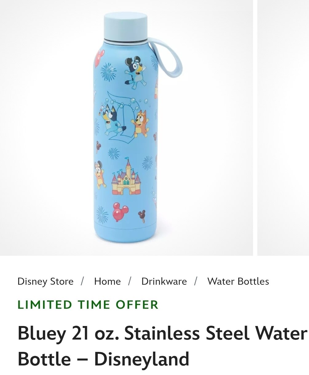 Bluey Water Bottle