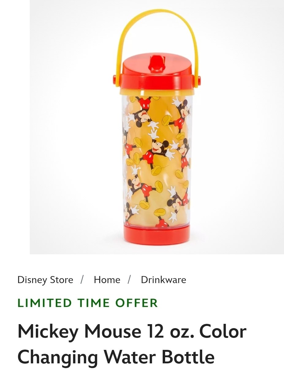Mickey Water Bottle