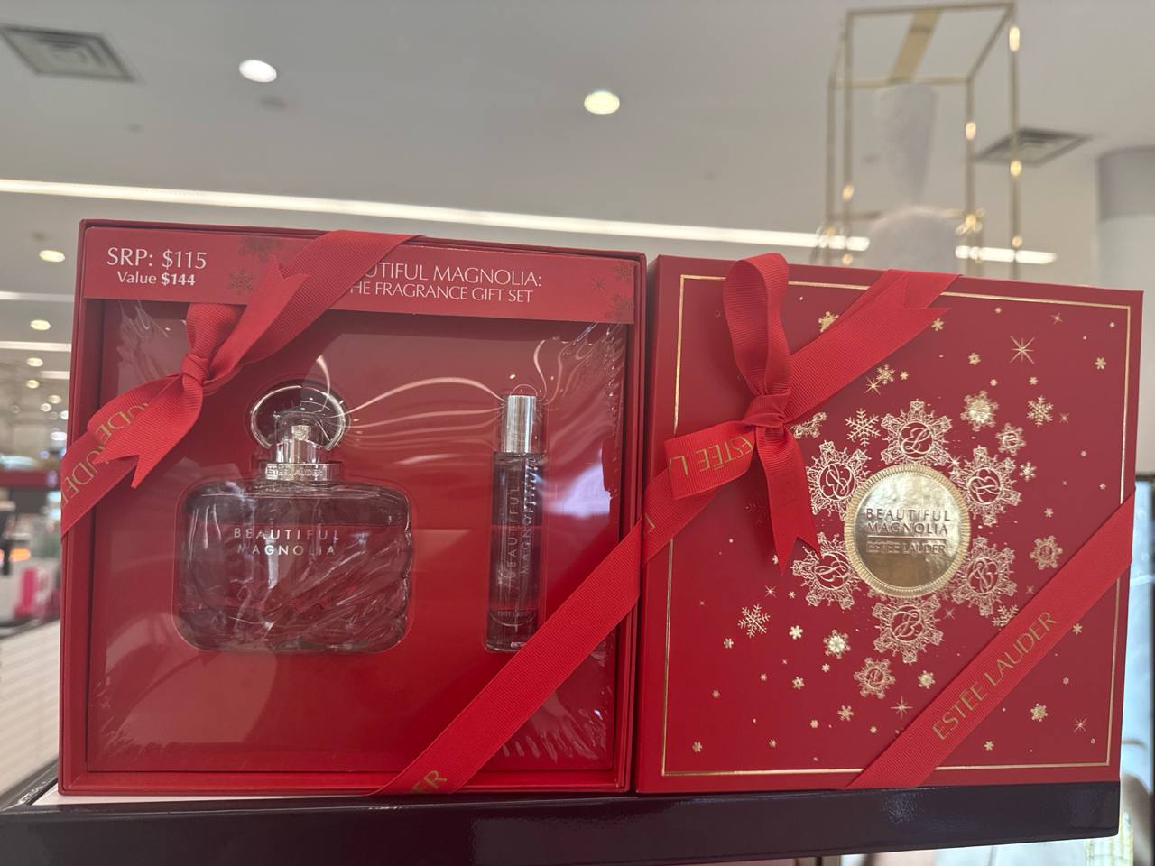 Estēe Lauder kit