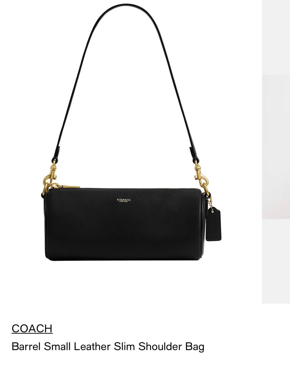 BOLSA Coach Pequena