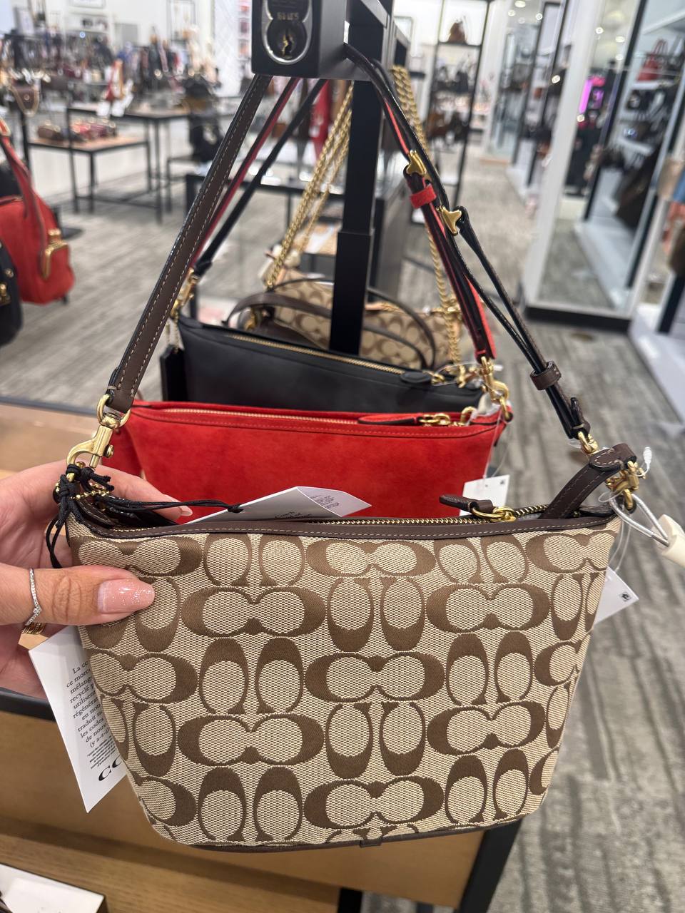 BOLSA Coach Pequena