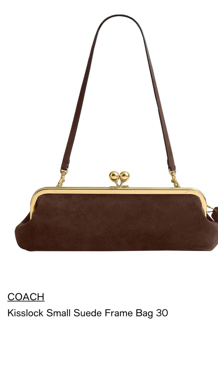 BOLSA Coach pequena