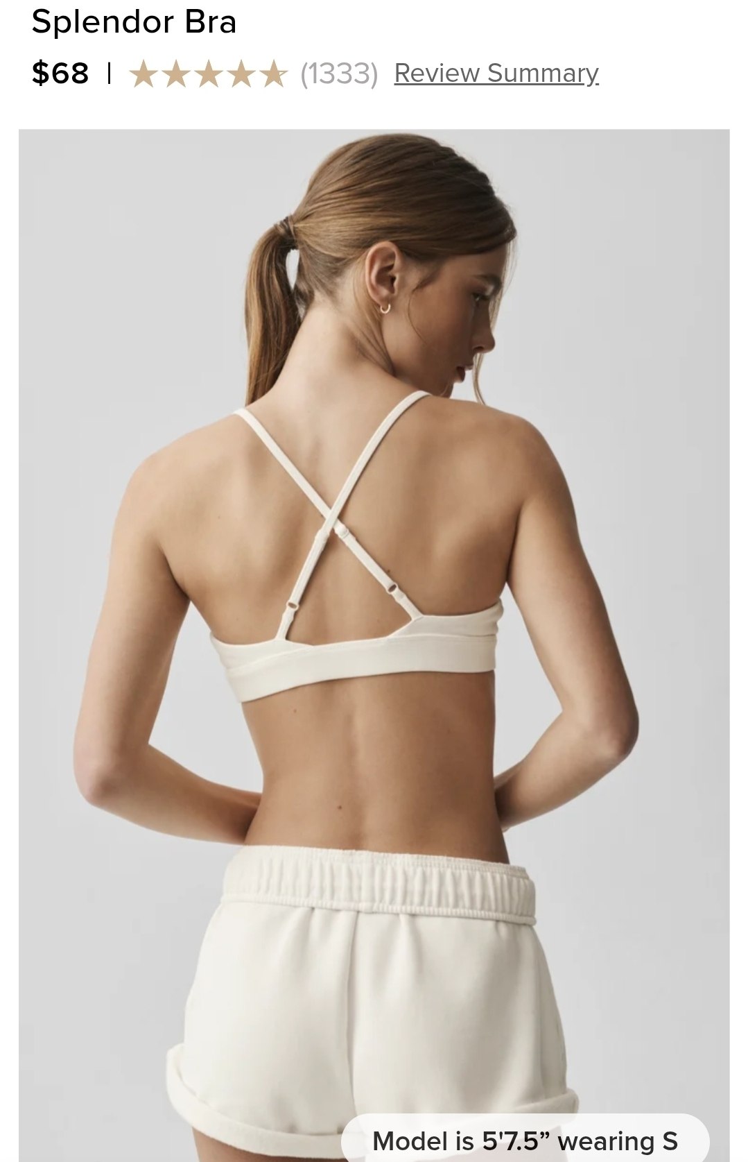 Splendor Bra