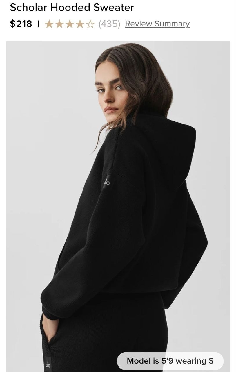 Scholar Hooded Sweater