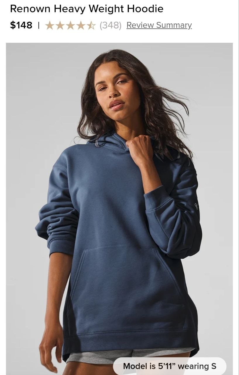 Renown Heavy Weight Hoodie