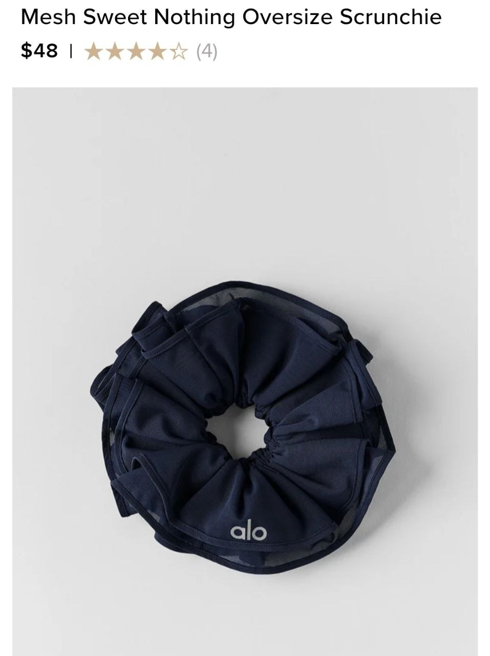 Mesh Sweet Nothing Oversize Scrunchie