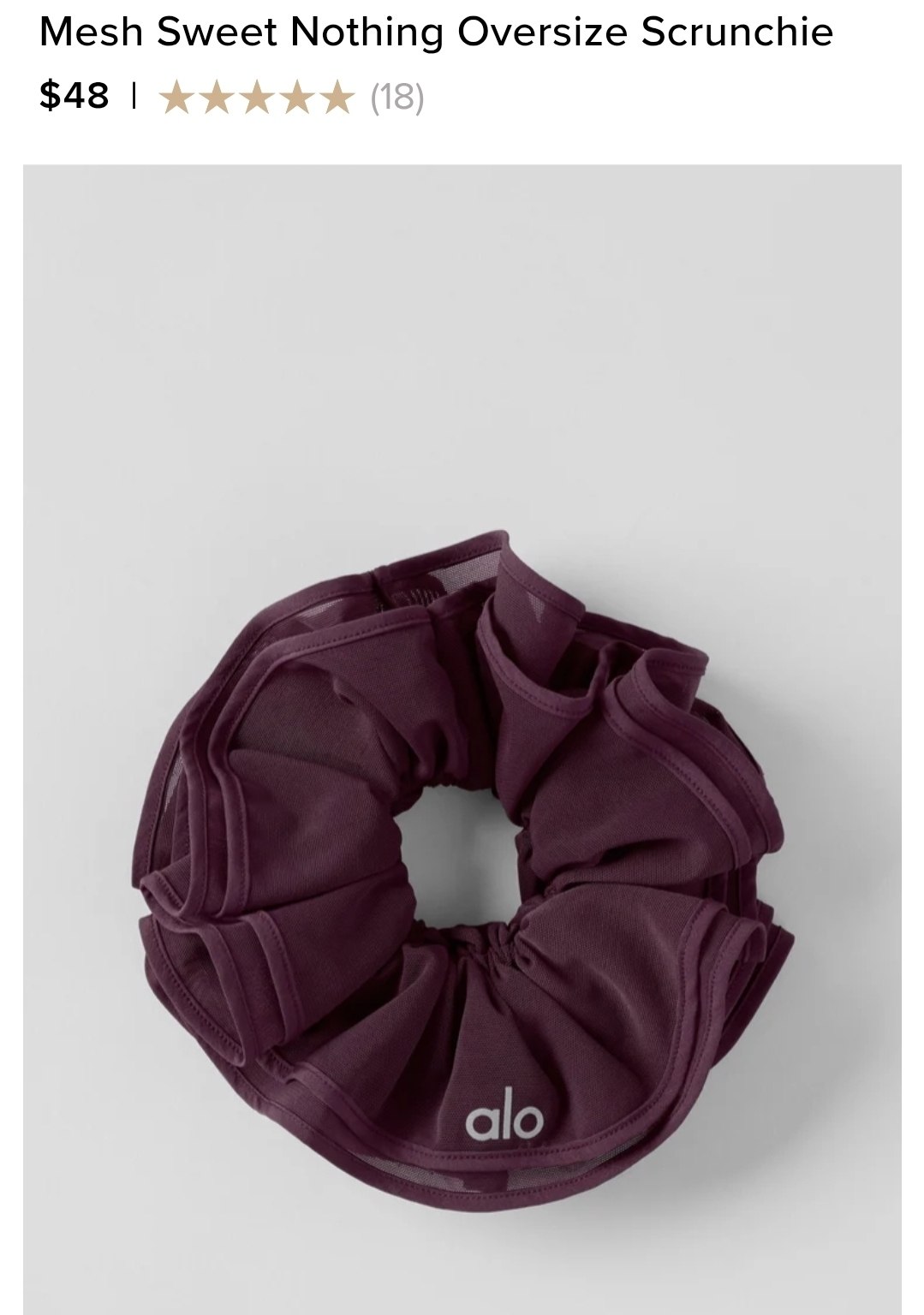 Mesh Sweet Nothing Oversize Scrunchie