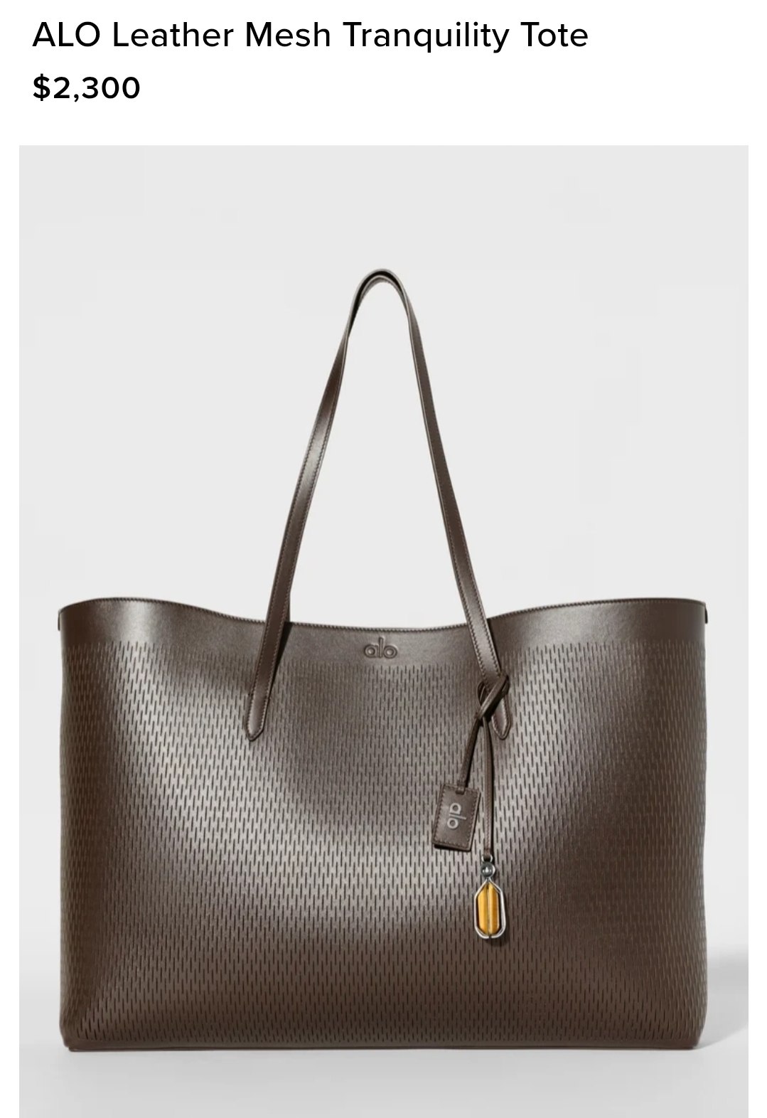 ALO Leather Mesh Tranquility Tote