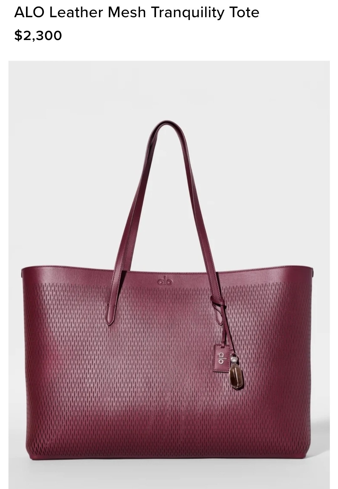 ALO Leather Mesh Tranquility Tote
