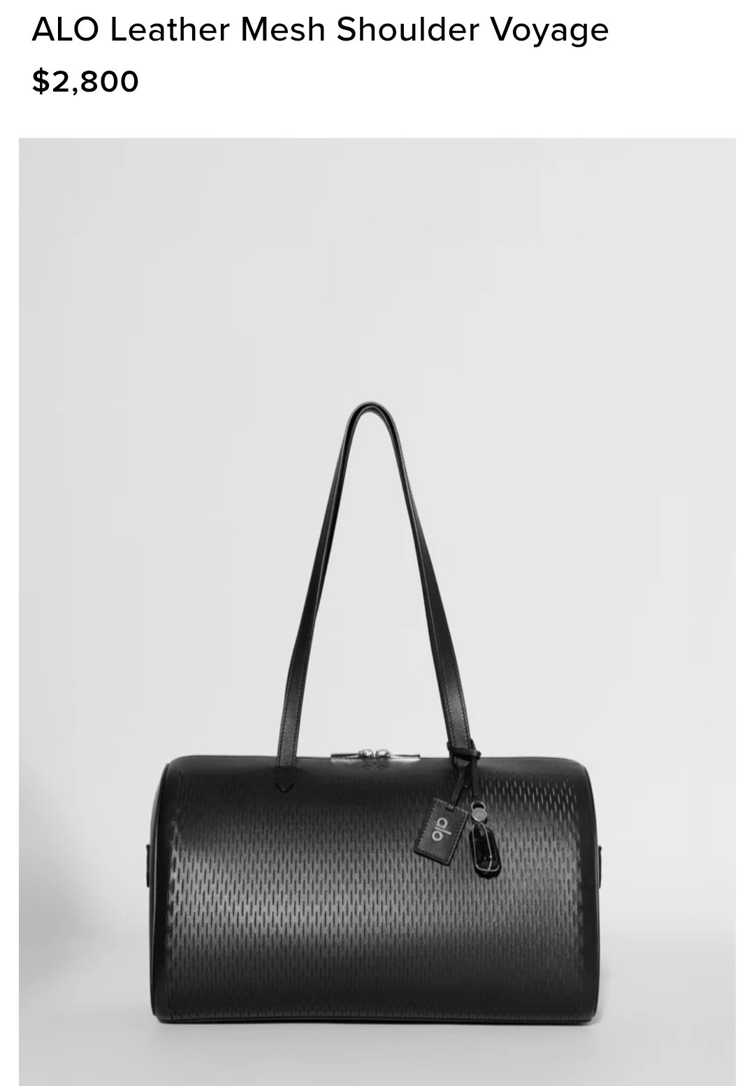ALO Leather Mesh Shoulder Voyage