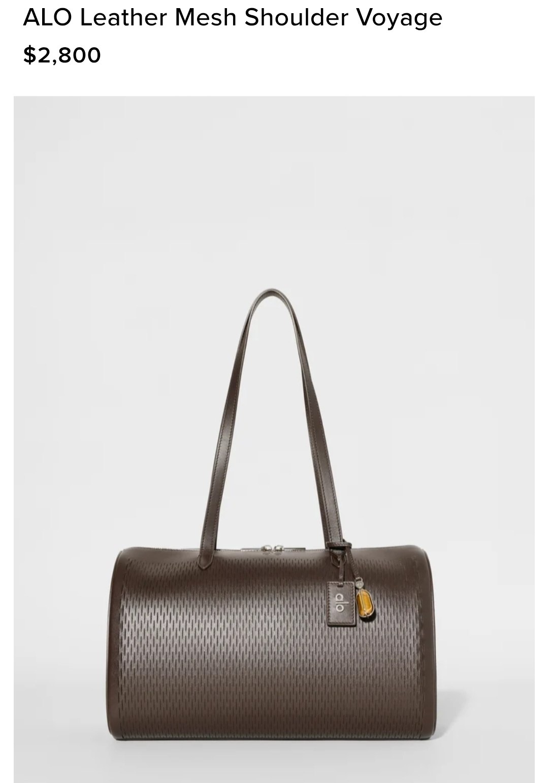 ALO Leather Mesh Shoulder Voyage