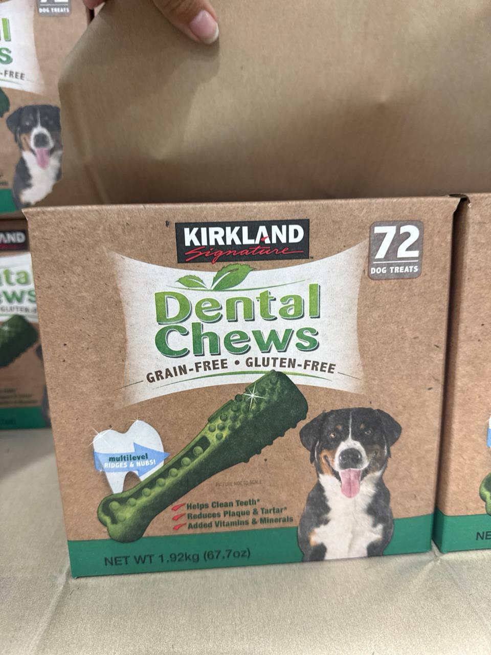 para cachorro