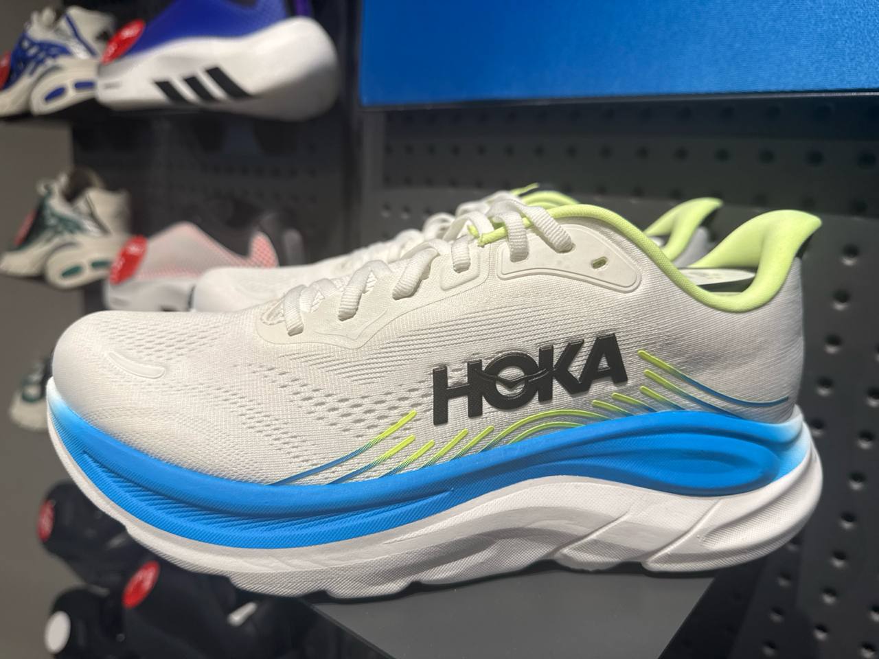 Tenis  número Americano