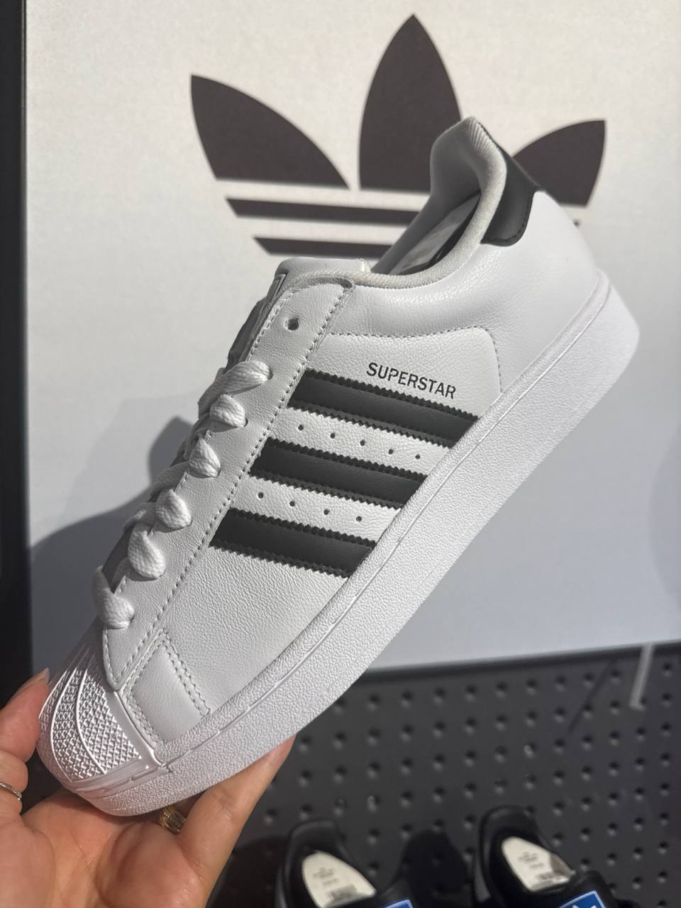 Tenis  número Americano