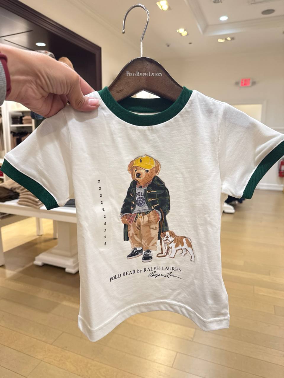 Camiseta Manga curta  Bear