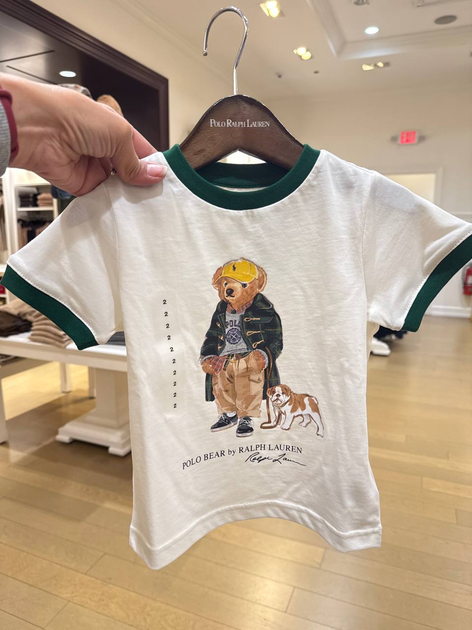 Camiseta Manga curta  Bear