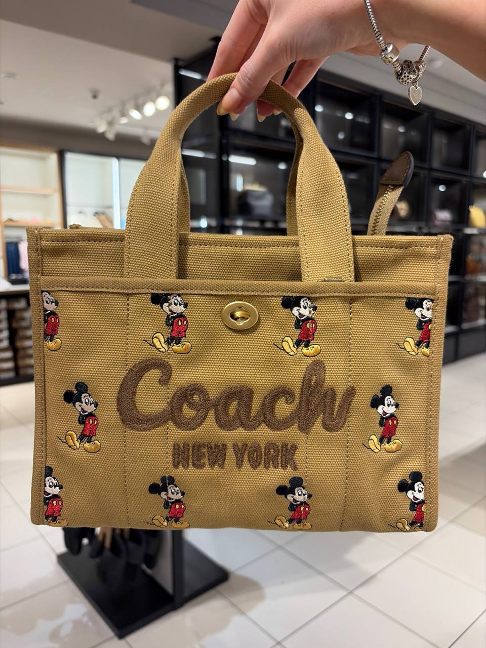 Disney tote bag media