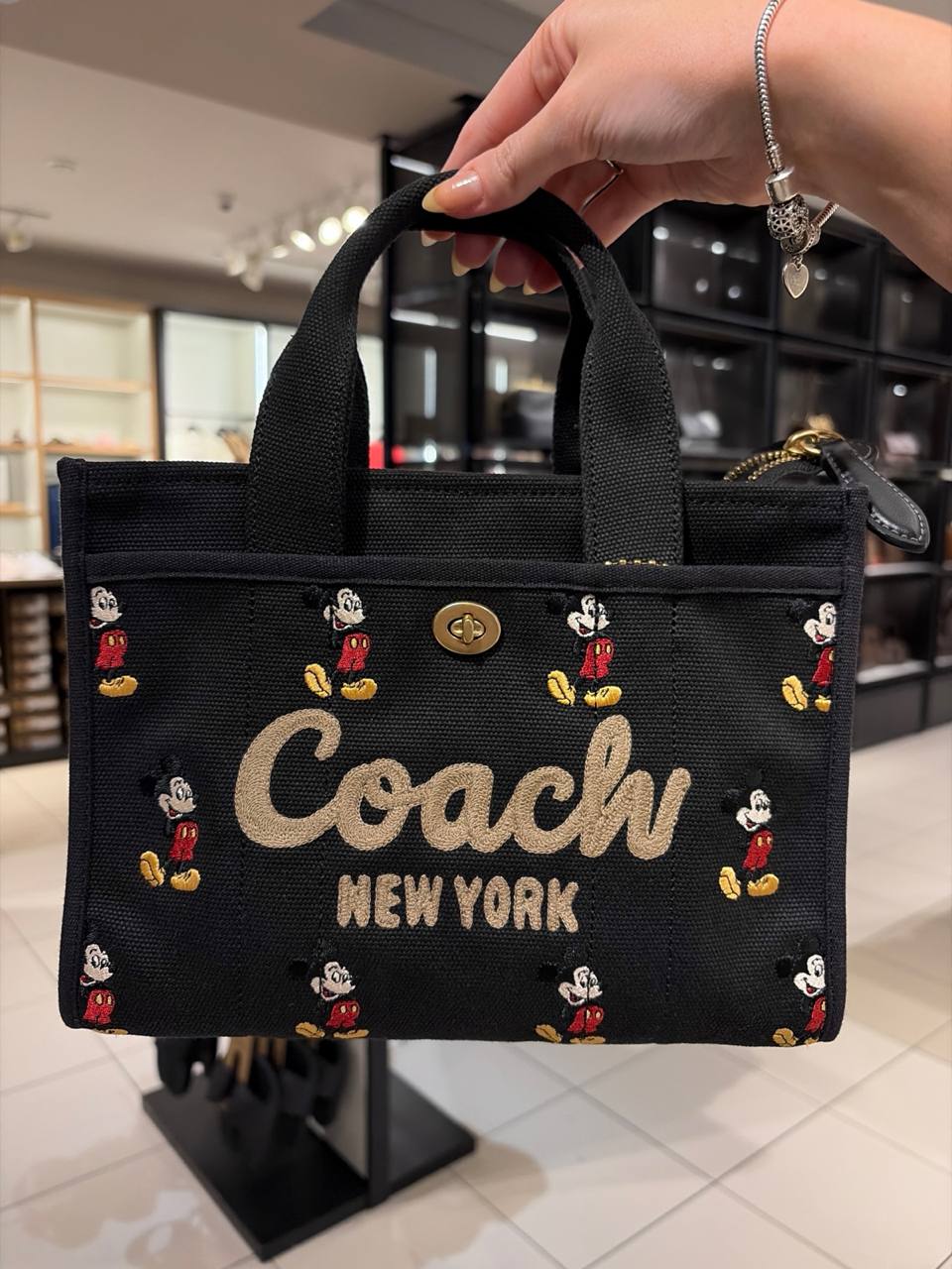 Disney tote bag media