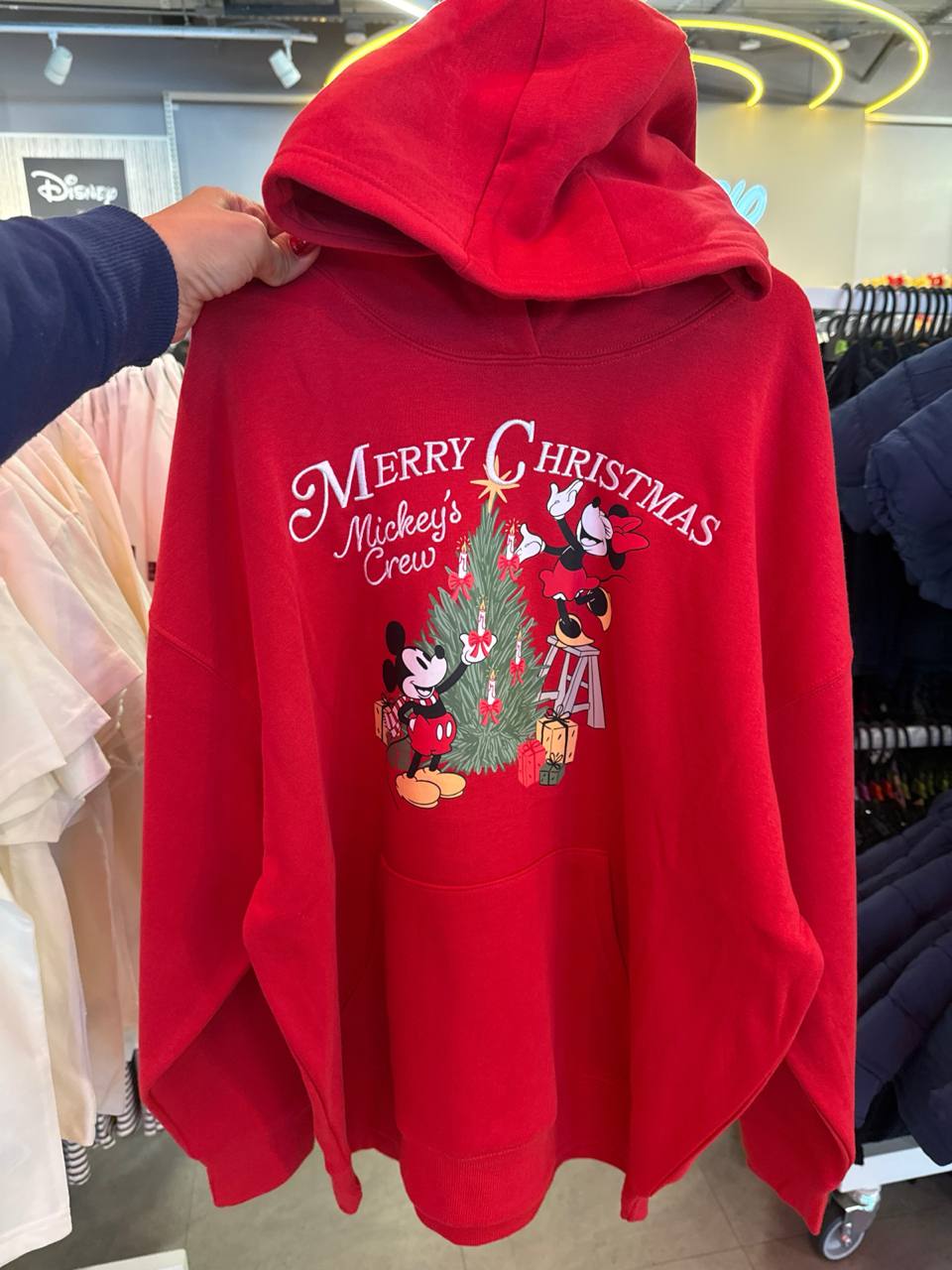 moletom com fleece e capuz