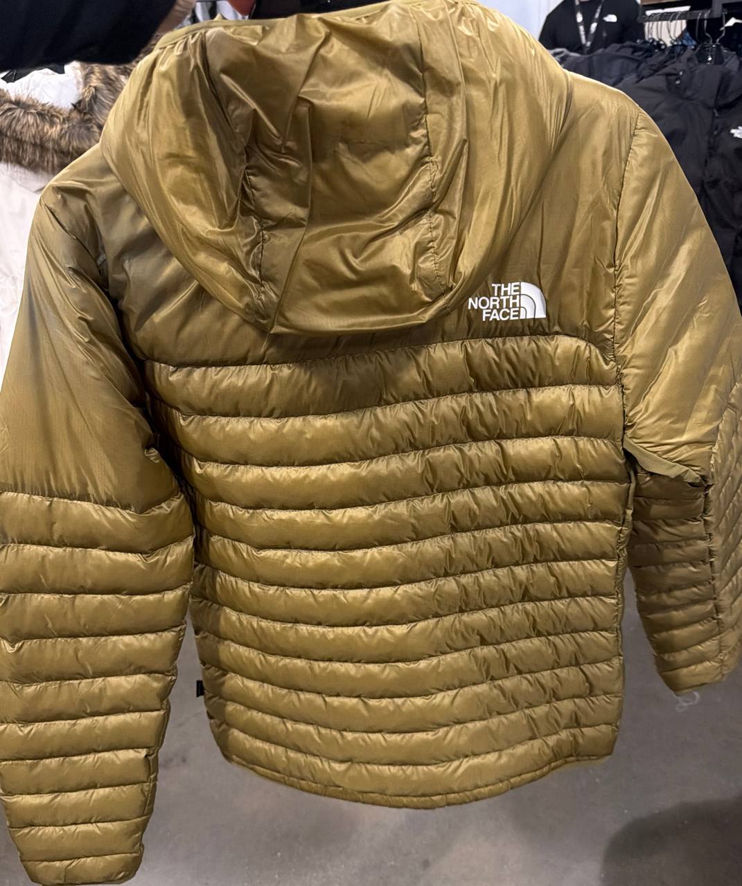 Jaqueta Terra Hoodie