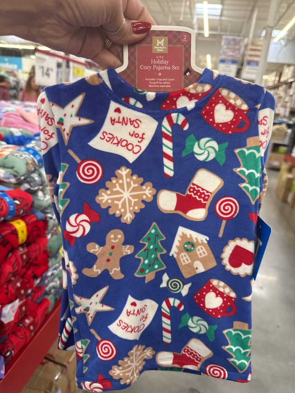 conjunto     2 peças com  fleece  Holiday