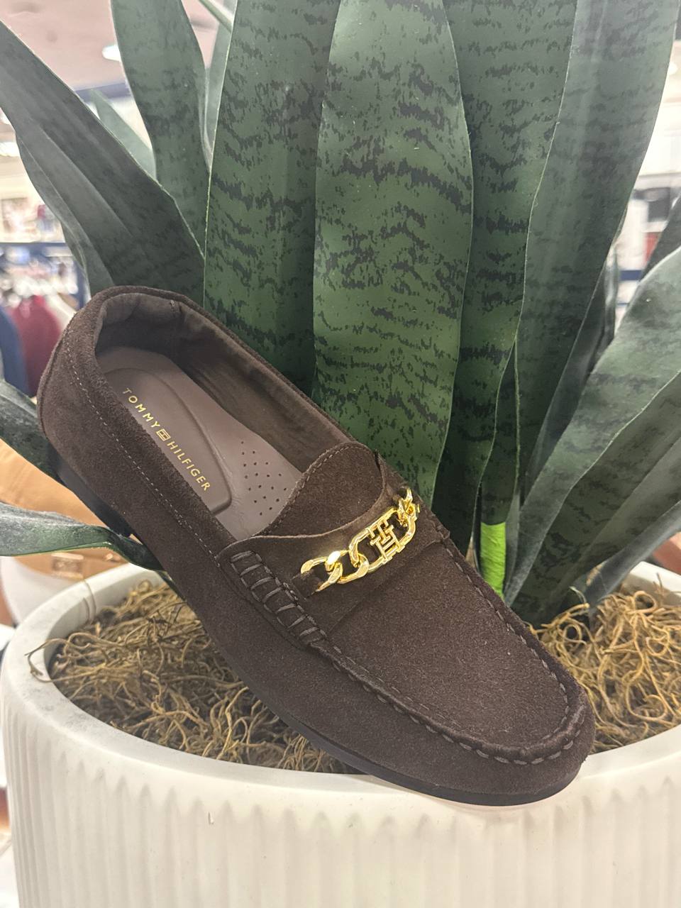 sapato   feminino