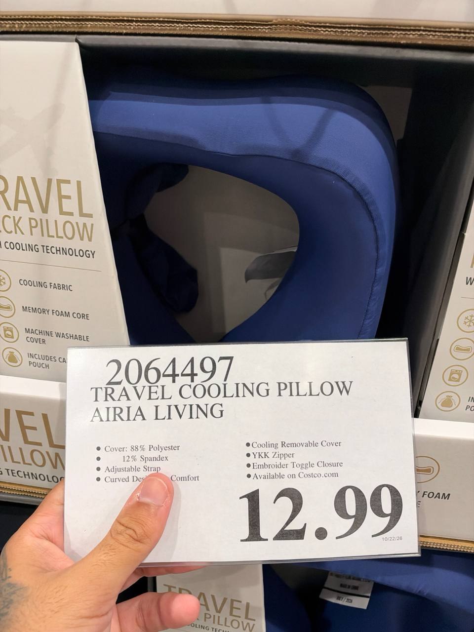 Costco - Travel Cooling Pillow Airia Living