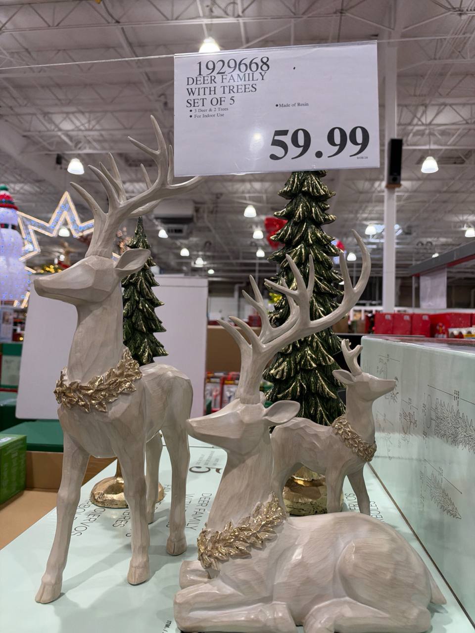 Costco - Deep Family - Decoração Natal