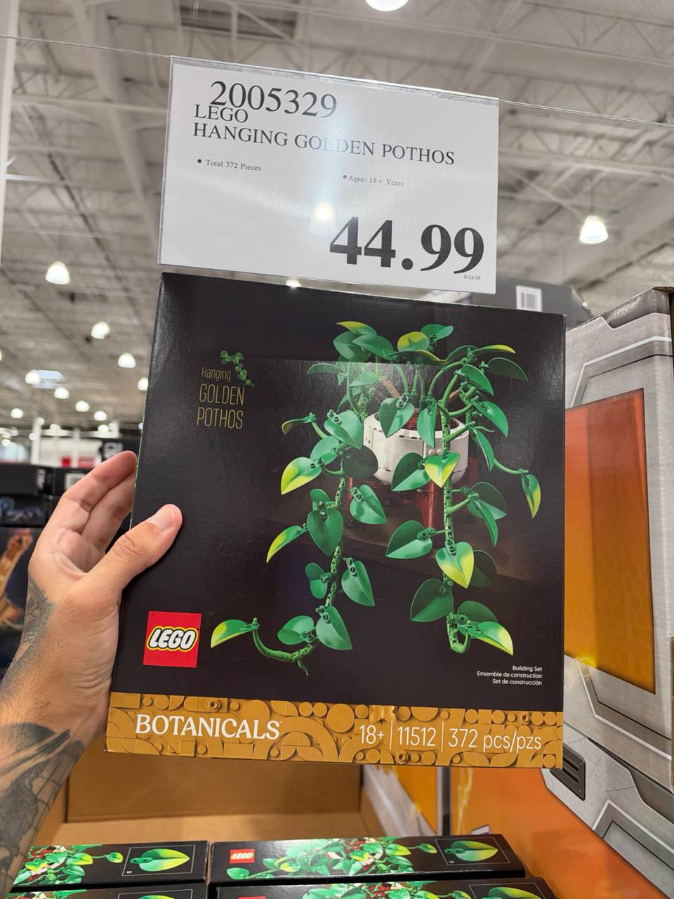 Costco - Lego Golden Pothos