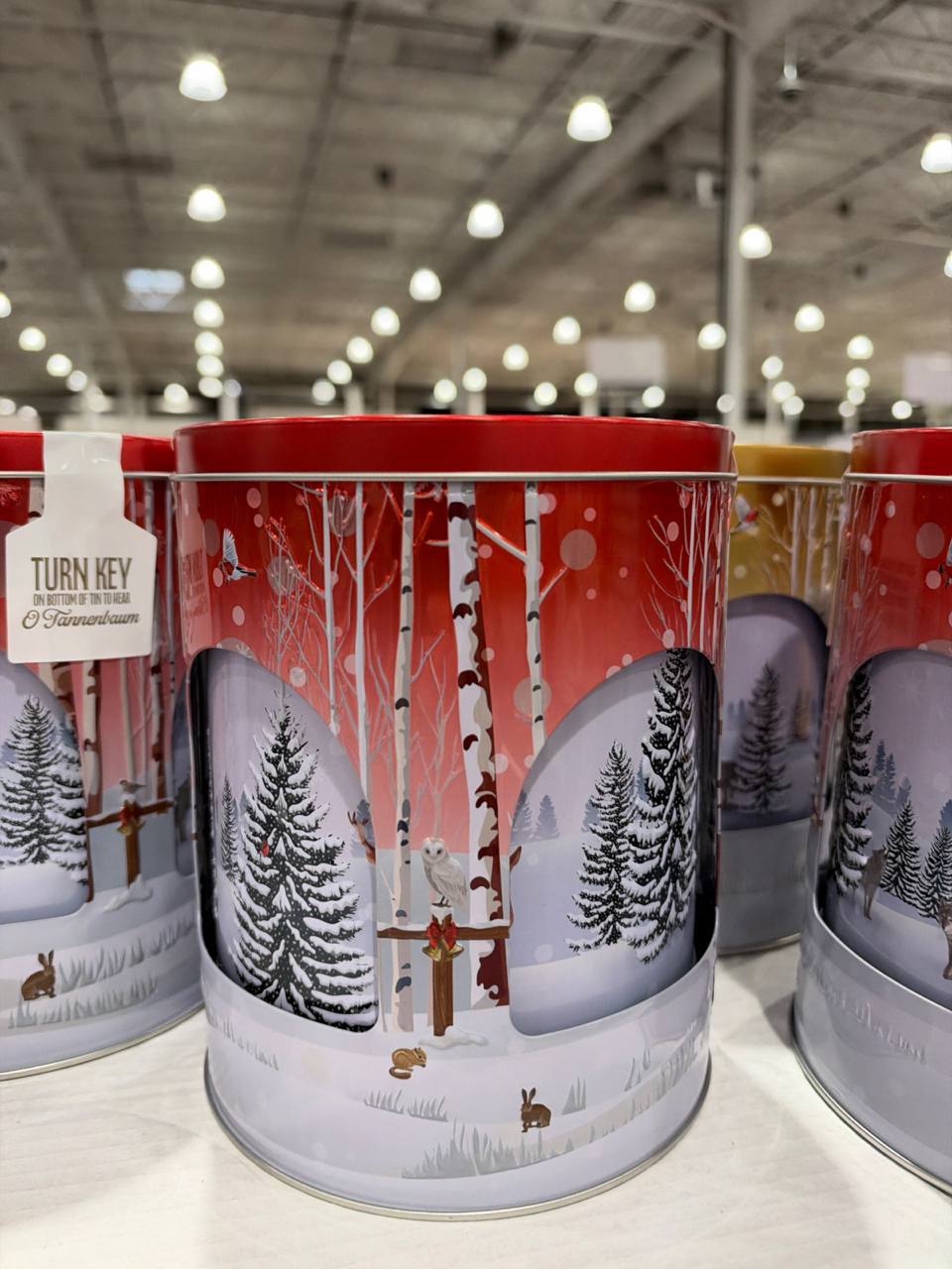 Costco - Lata Musical com Biscoitos de Manteiga