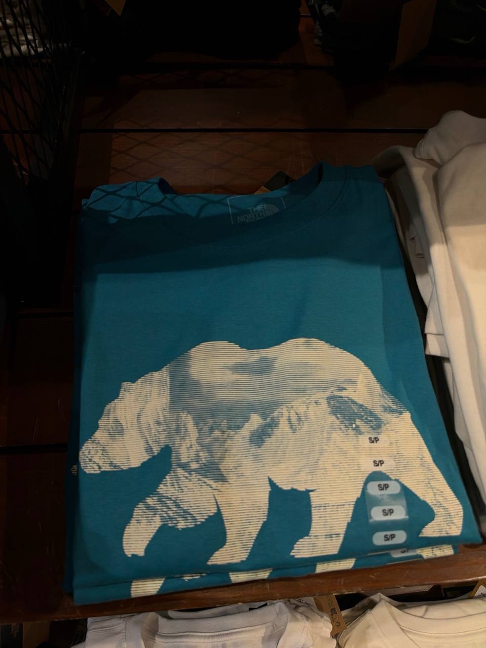 TNF Masc - Camiseta Manga Curta